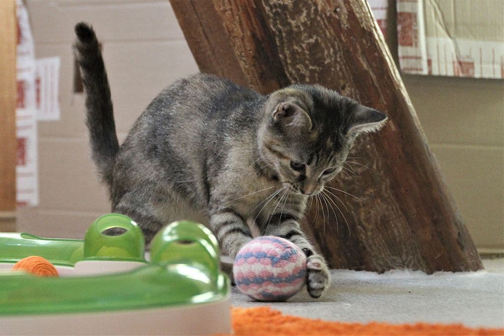 Fiona -  - Bild 3