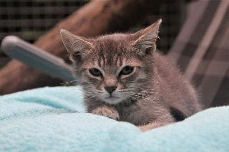 Bettina -  - Bild 4
