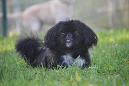 Timmy -  - Bild 2