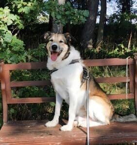 Carlos -  - Bild 1