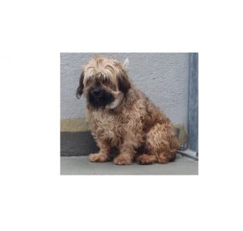 Olek -  - Bild 1