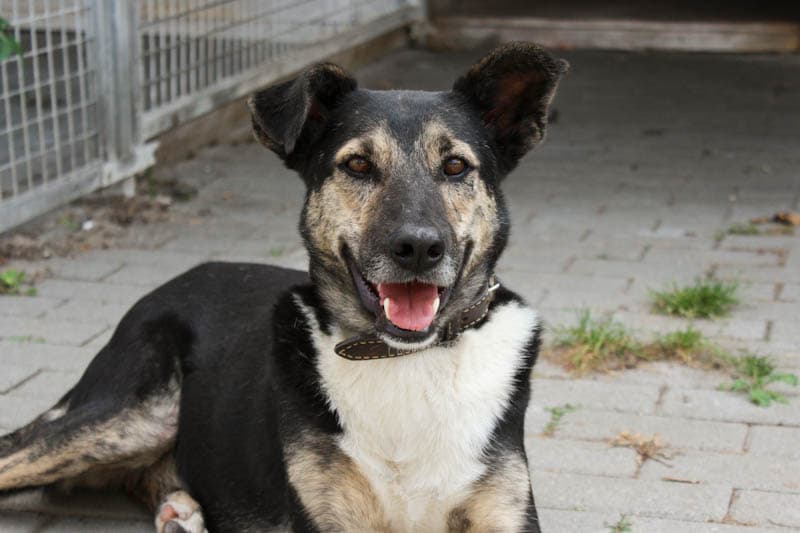 Tasco -  - Bild 2