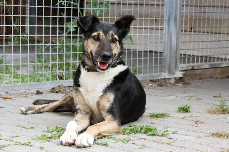 Tasco -  - Bild 1
