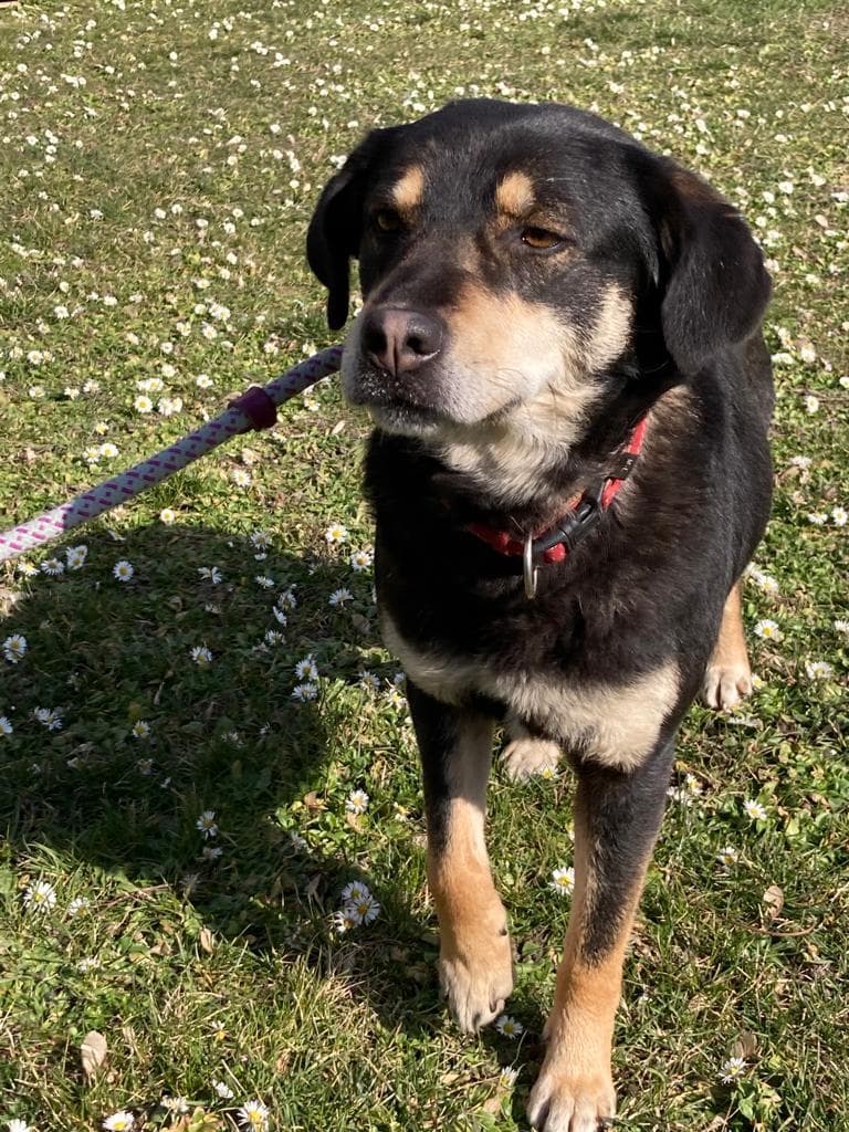 Diva -  - Bild 3