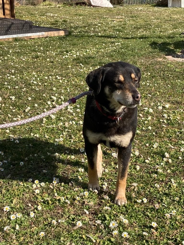 Diva -  - Bild 4