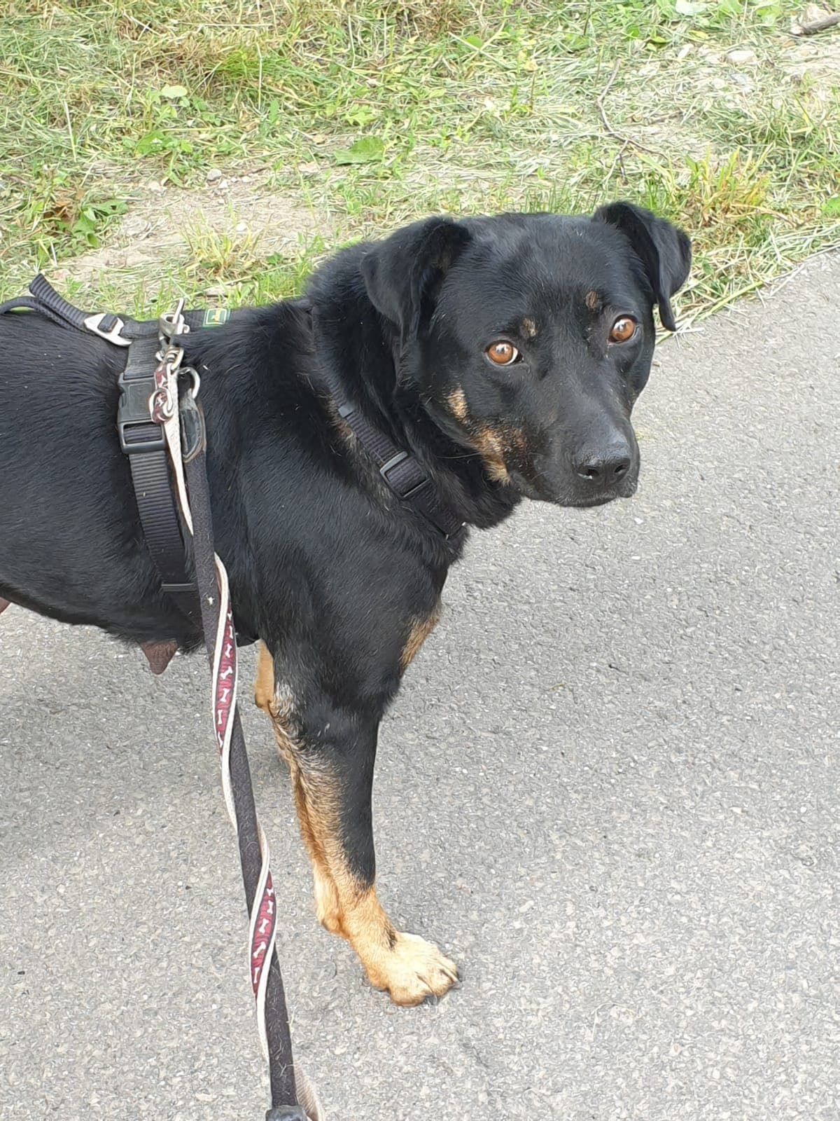 Fenna -  - Bild 2
