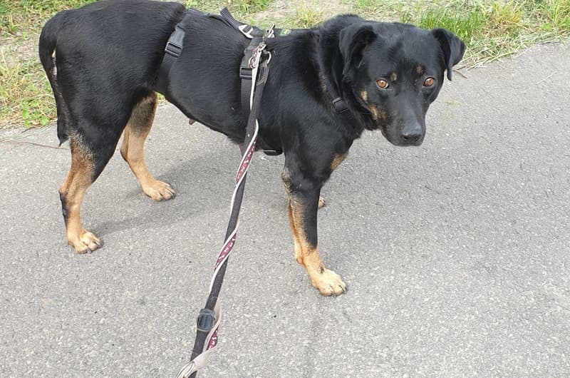 Fenna -  - Bild 1