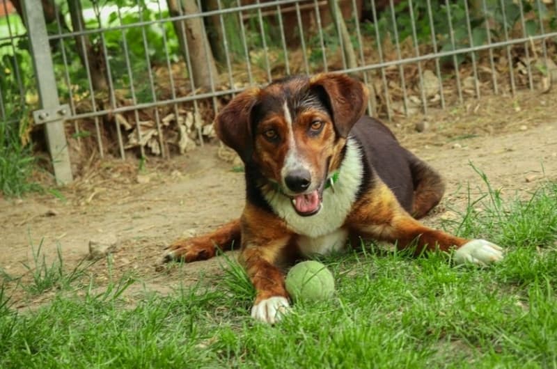 Frieda -  - Bild 1