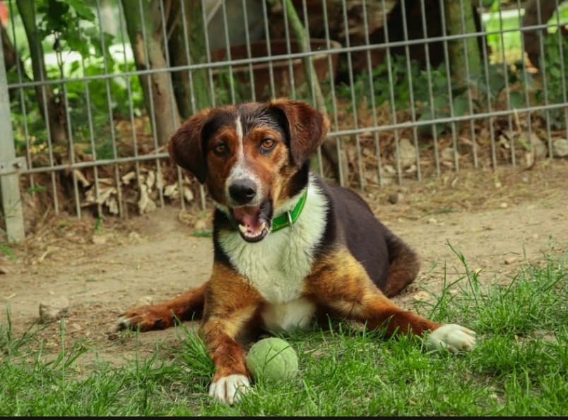 Frieda -  - Bild 2