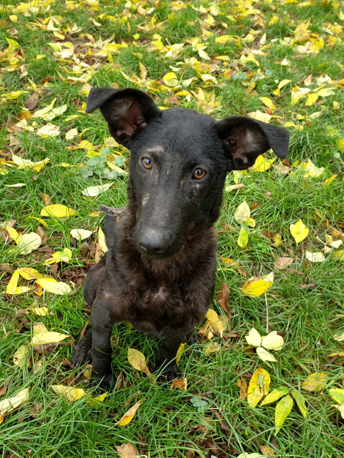 Hanni -  - Bild 2