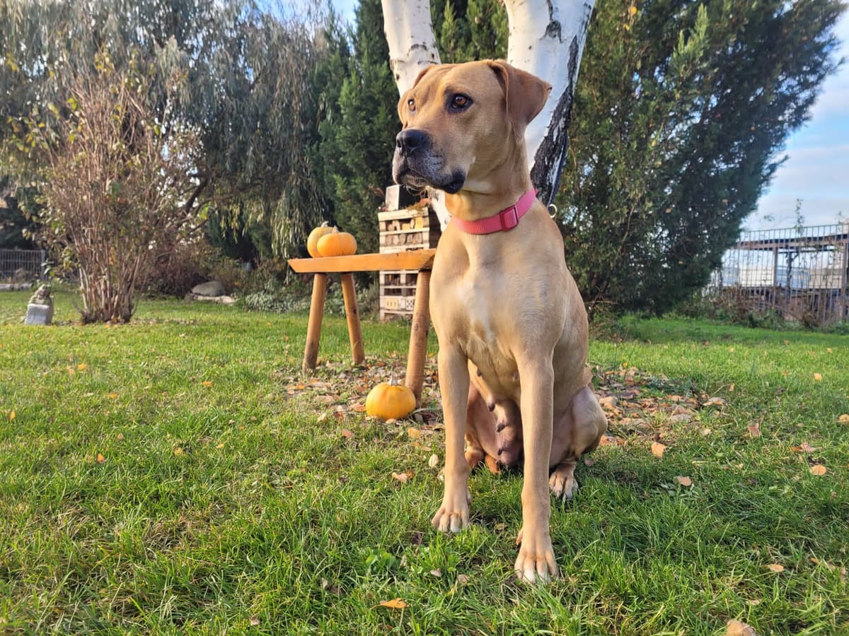 Izzy -  - Bild 4