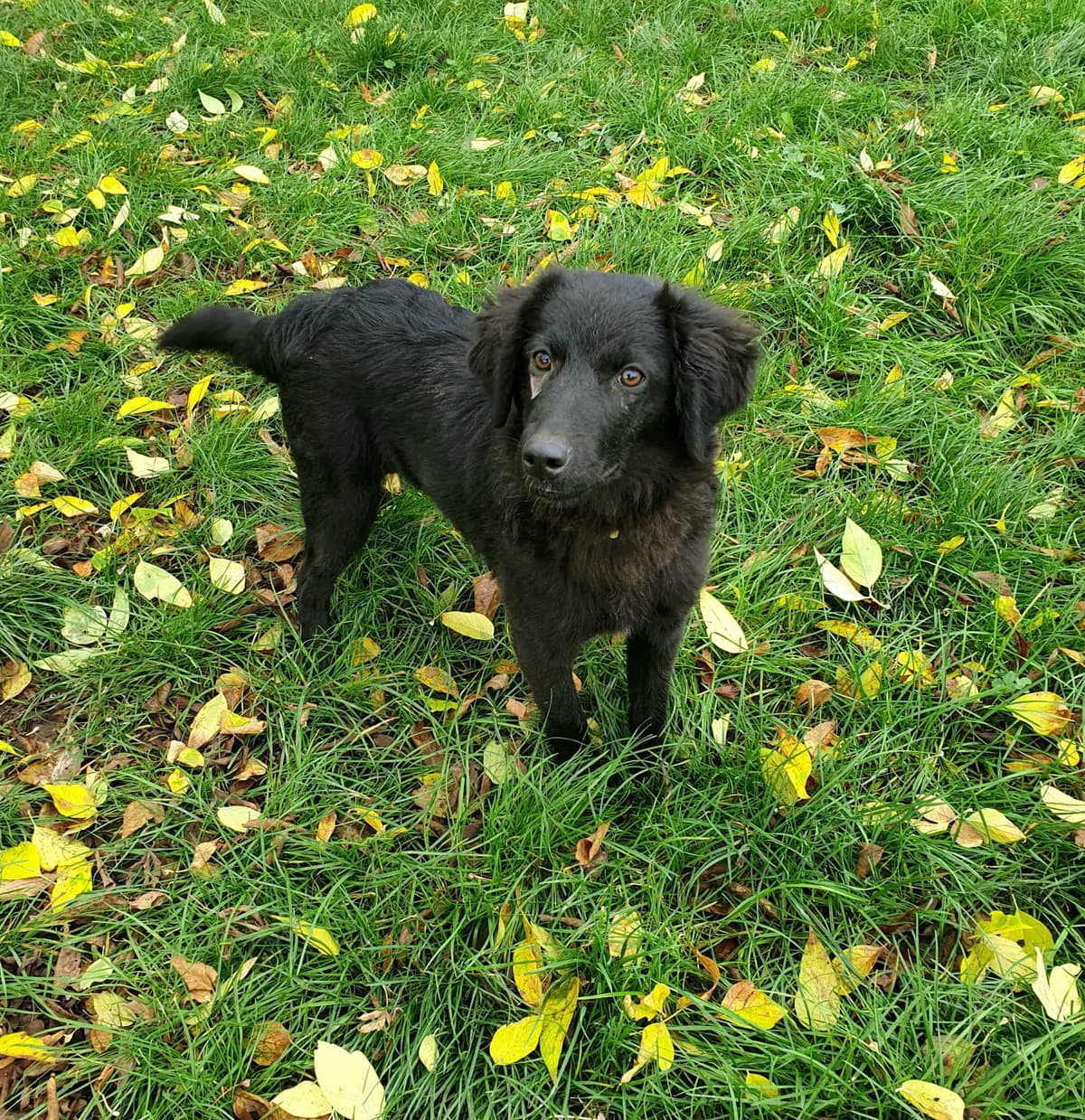 Noa -  - Bild 2