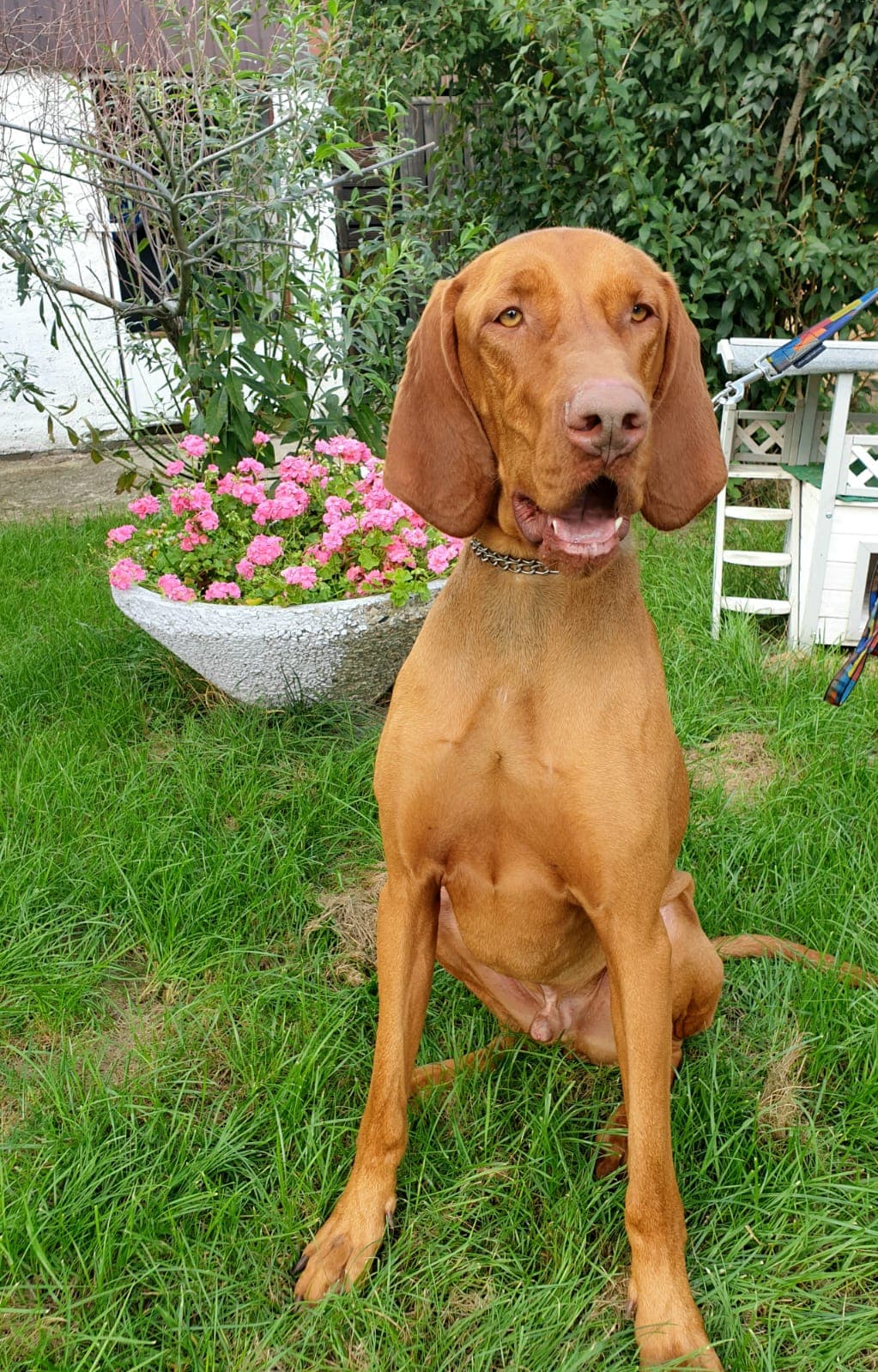 Rudy -  - Bild 2