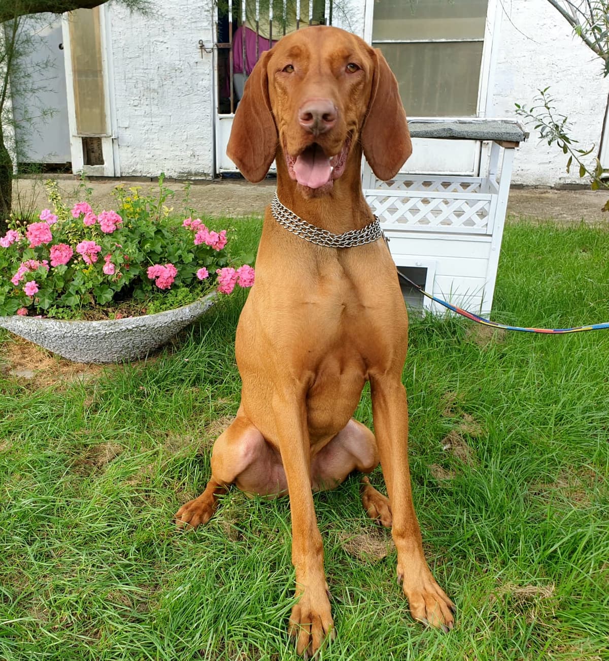 Rudy -  - Bild 3