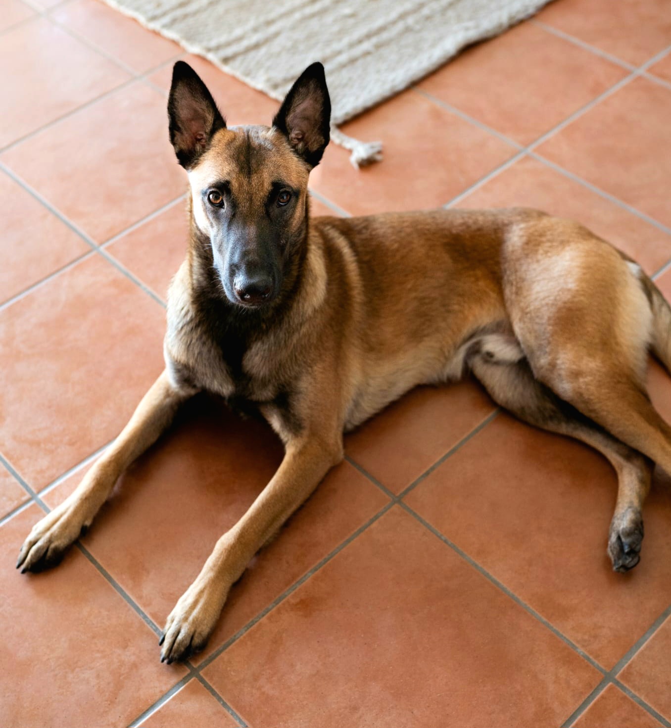 Loki -  - Bild 2