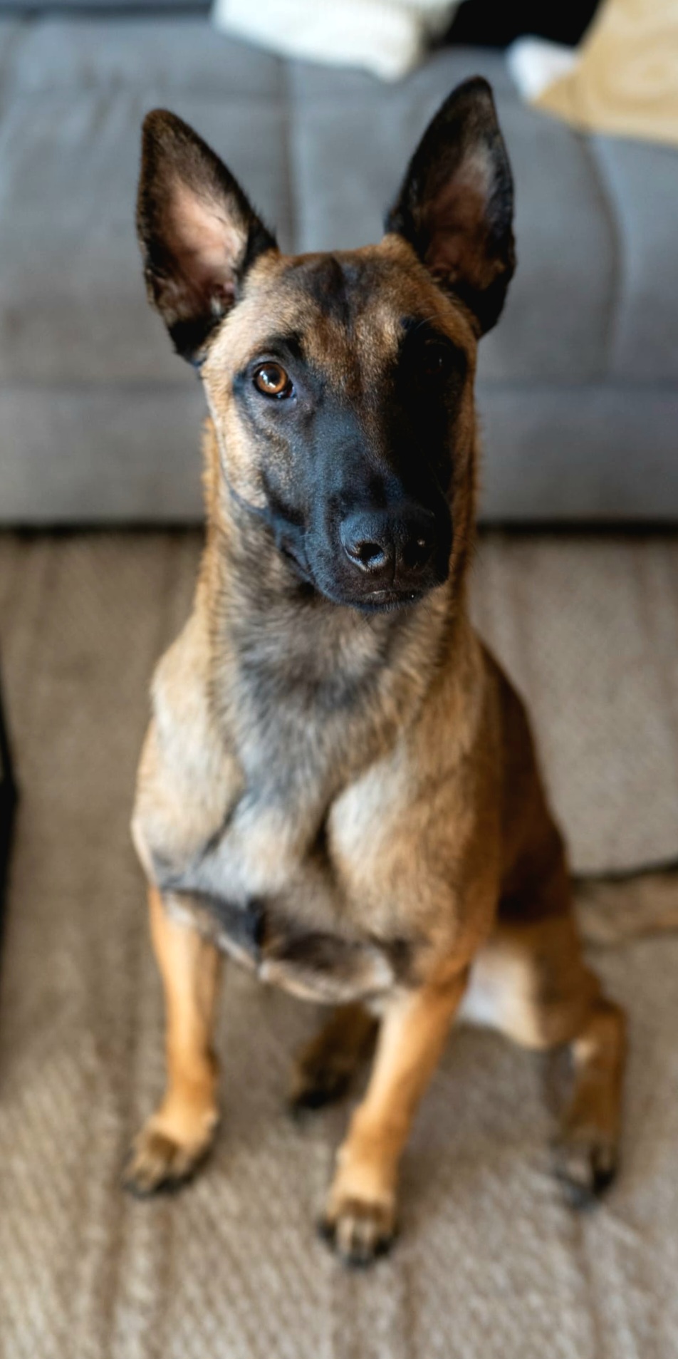 Loki -  - Bild 3