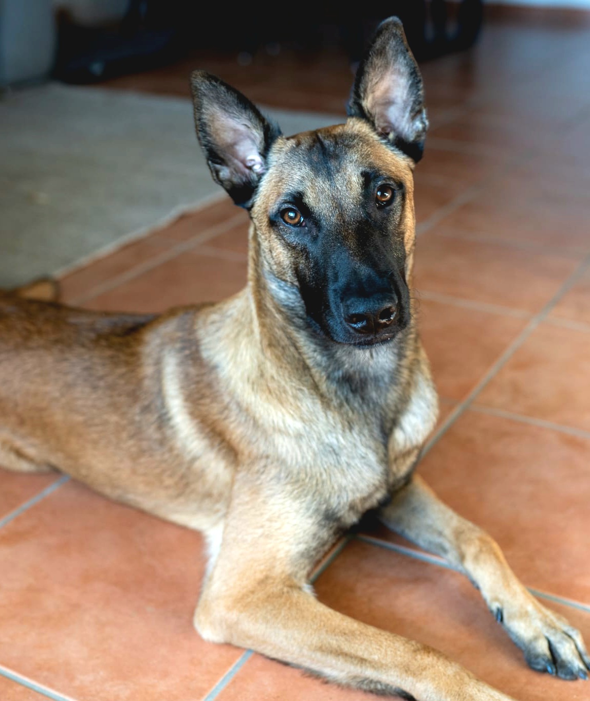 Loki -  - Bild 4