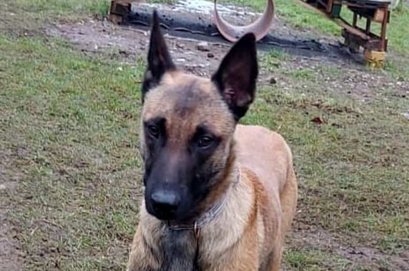 Loki -  - Bild 1