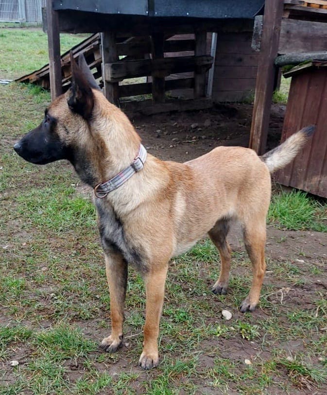 Loki -  - Bild 6