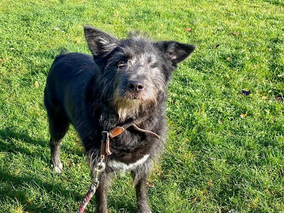 Lilly -  - Bild 1