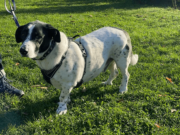 Bruno -  - Bild 4