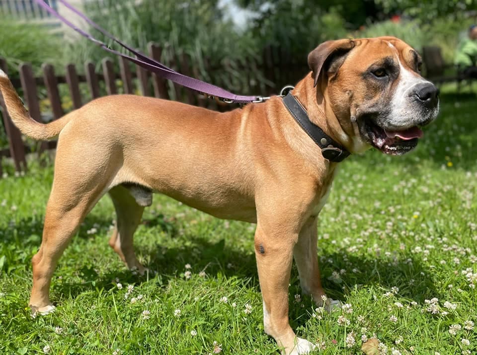 Kanka -  - Bild 2