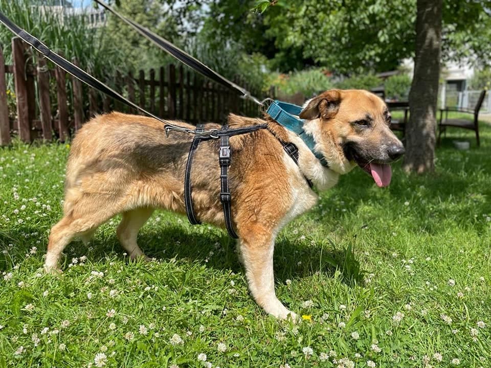 Gasol -  - Bild 1