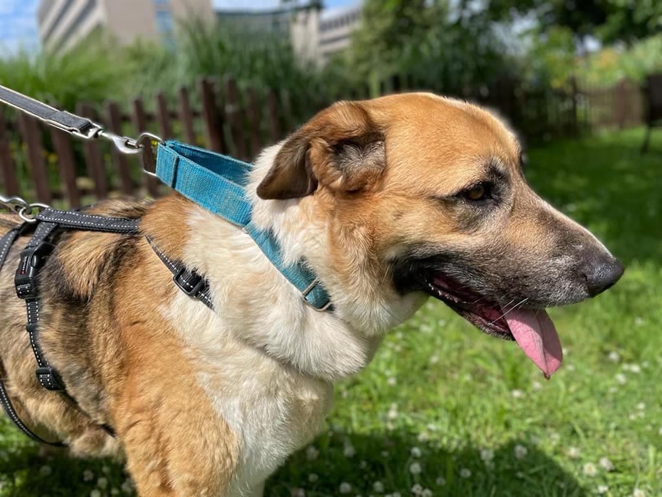Gasol -  - Bild 2