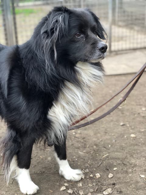 Nero -  - Bild 4