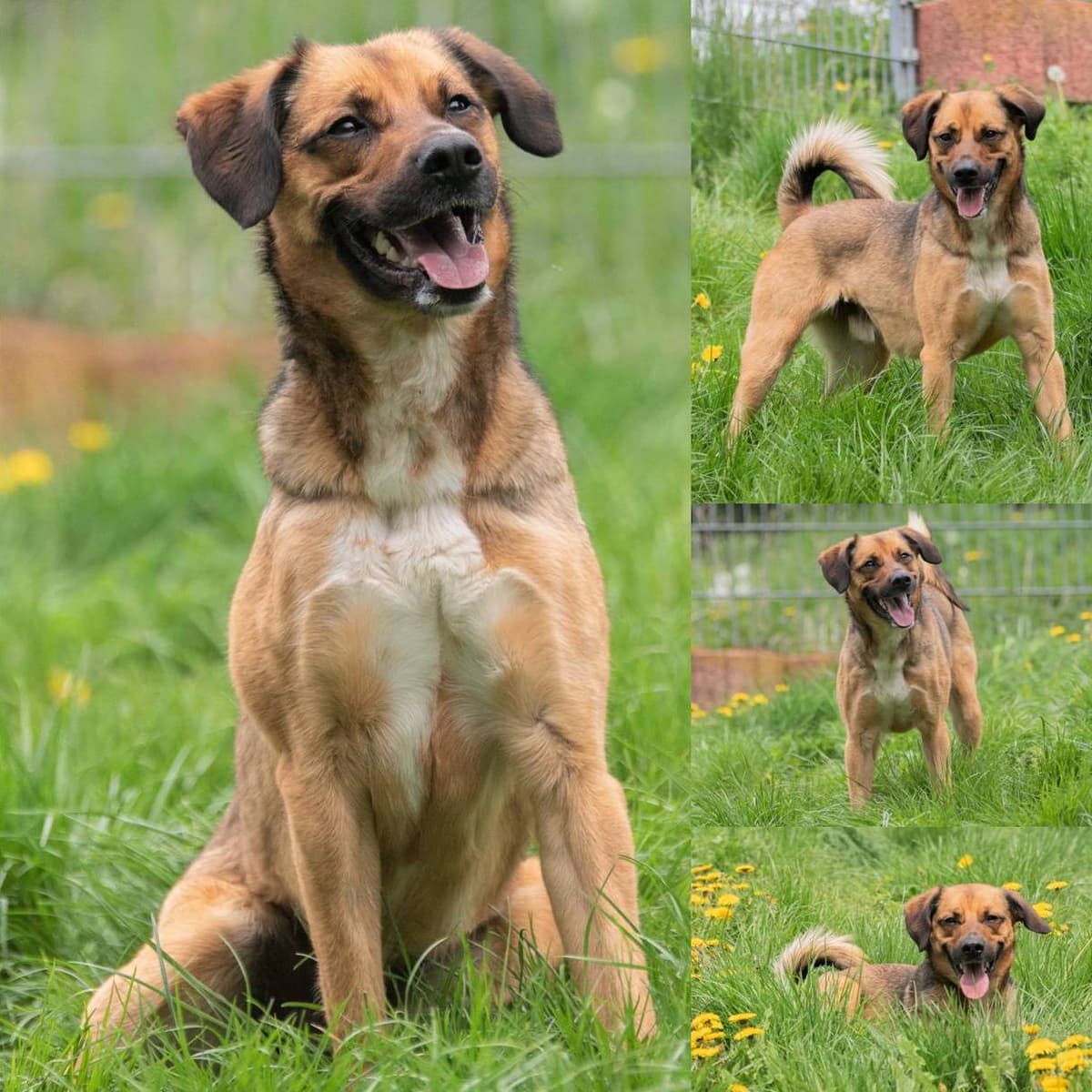 Loki -  - Bild 1
