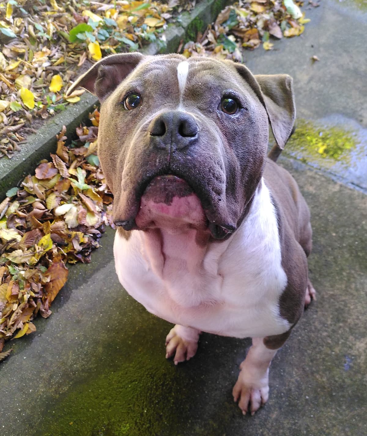 Eddie -  - Bild 2