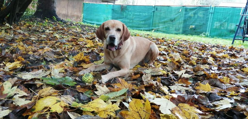 Matti -  - Bild 1