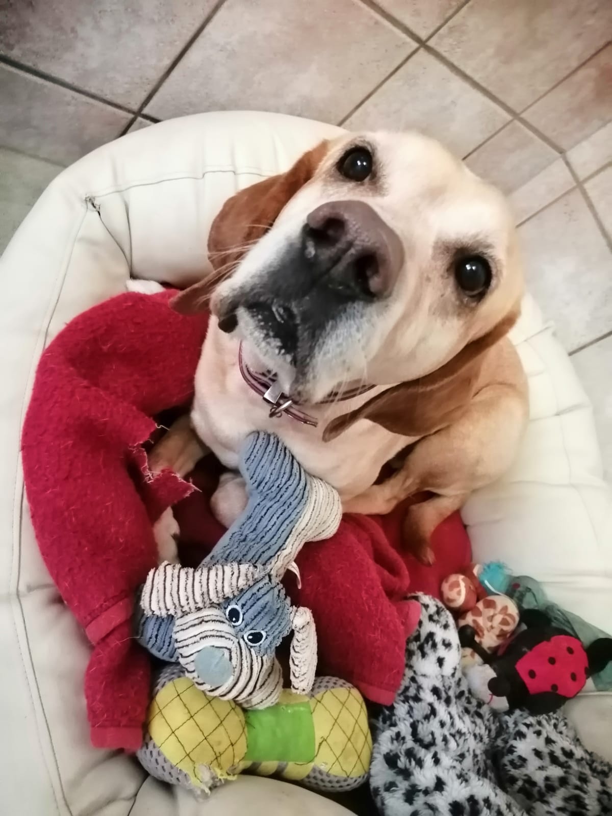 Matti -  - Bild 2