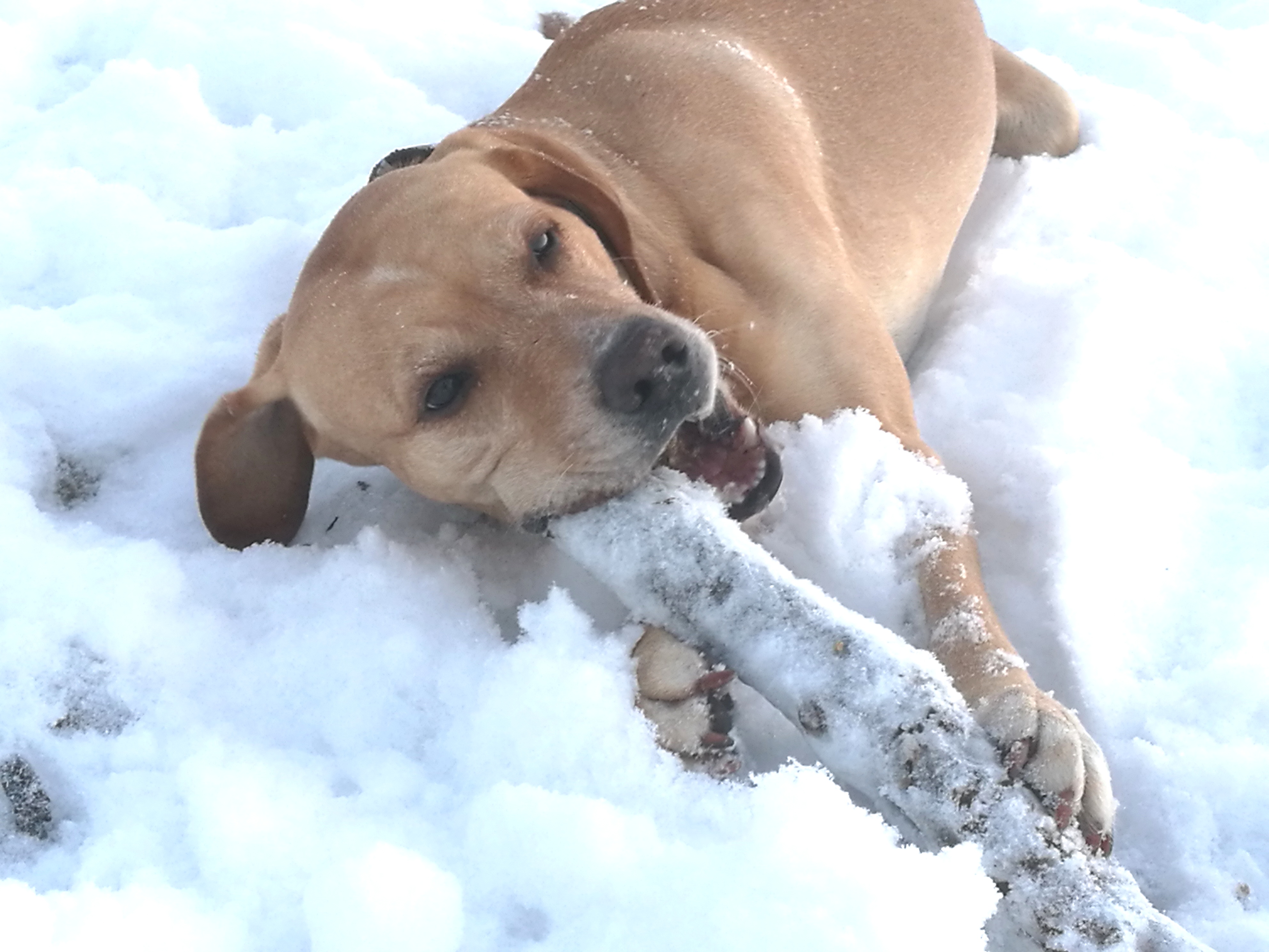 Matti -  - Bild 3
