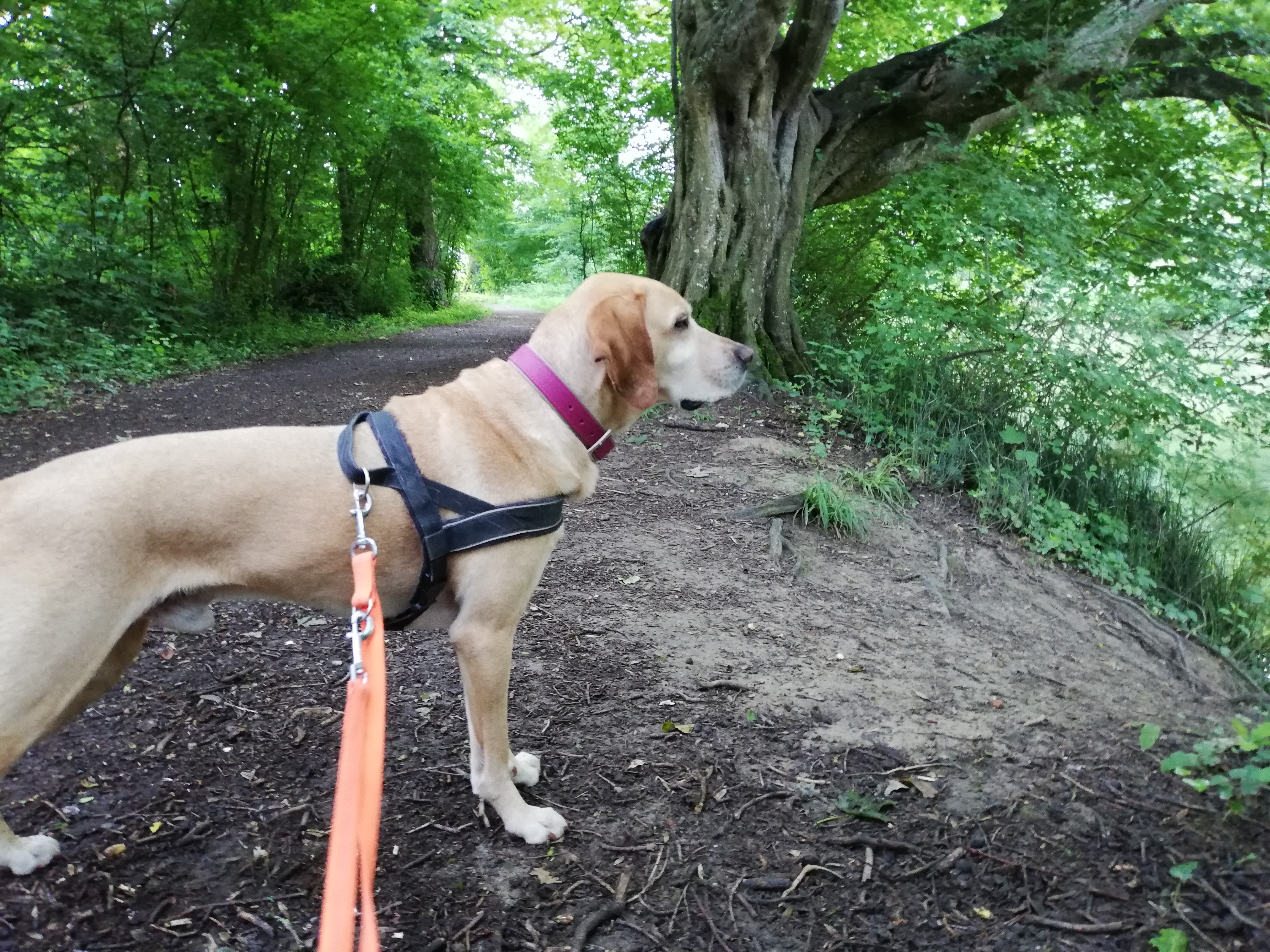 Matti -  - Bild 4