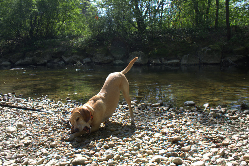 Matti -  - Bild 6