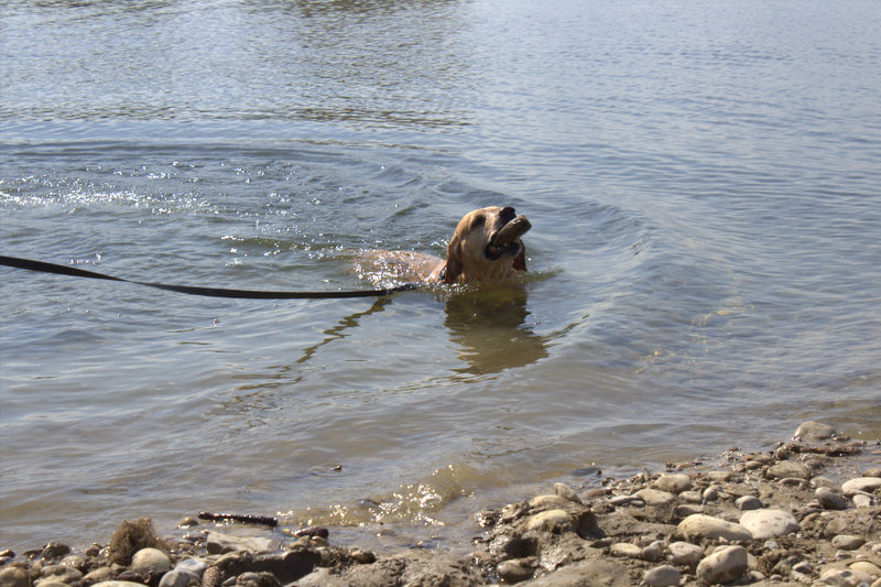 Matti -  - Bild 7