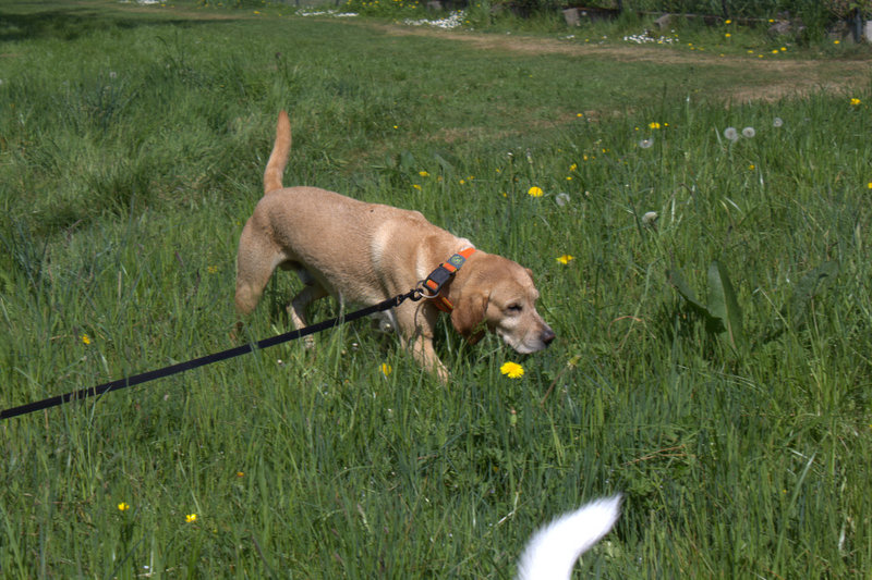 Matti -  - Bild 9