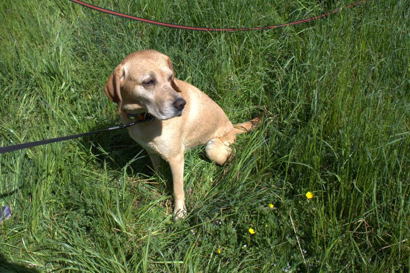 Matti -  - Bild 10
