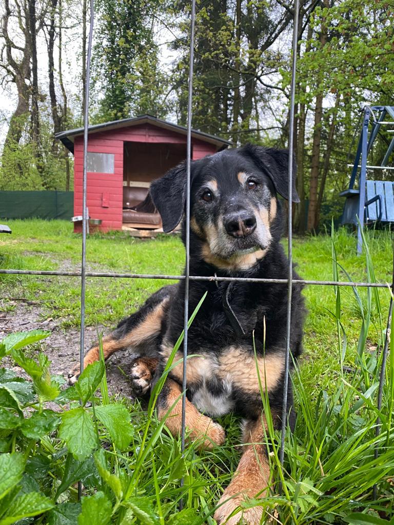 Max -  - Bild 1