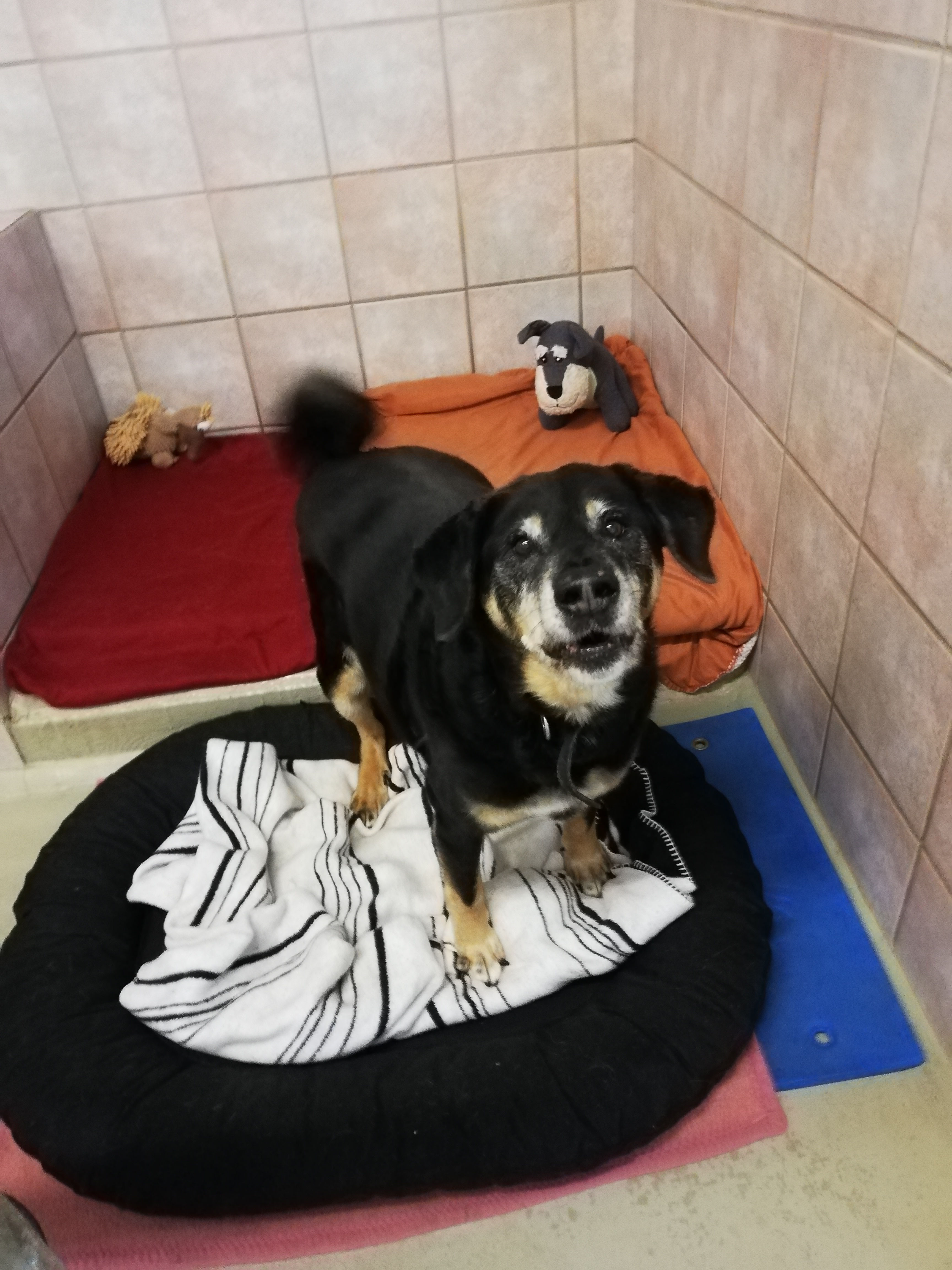 Max -  - Bild 2