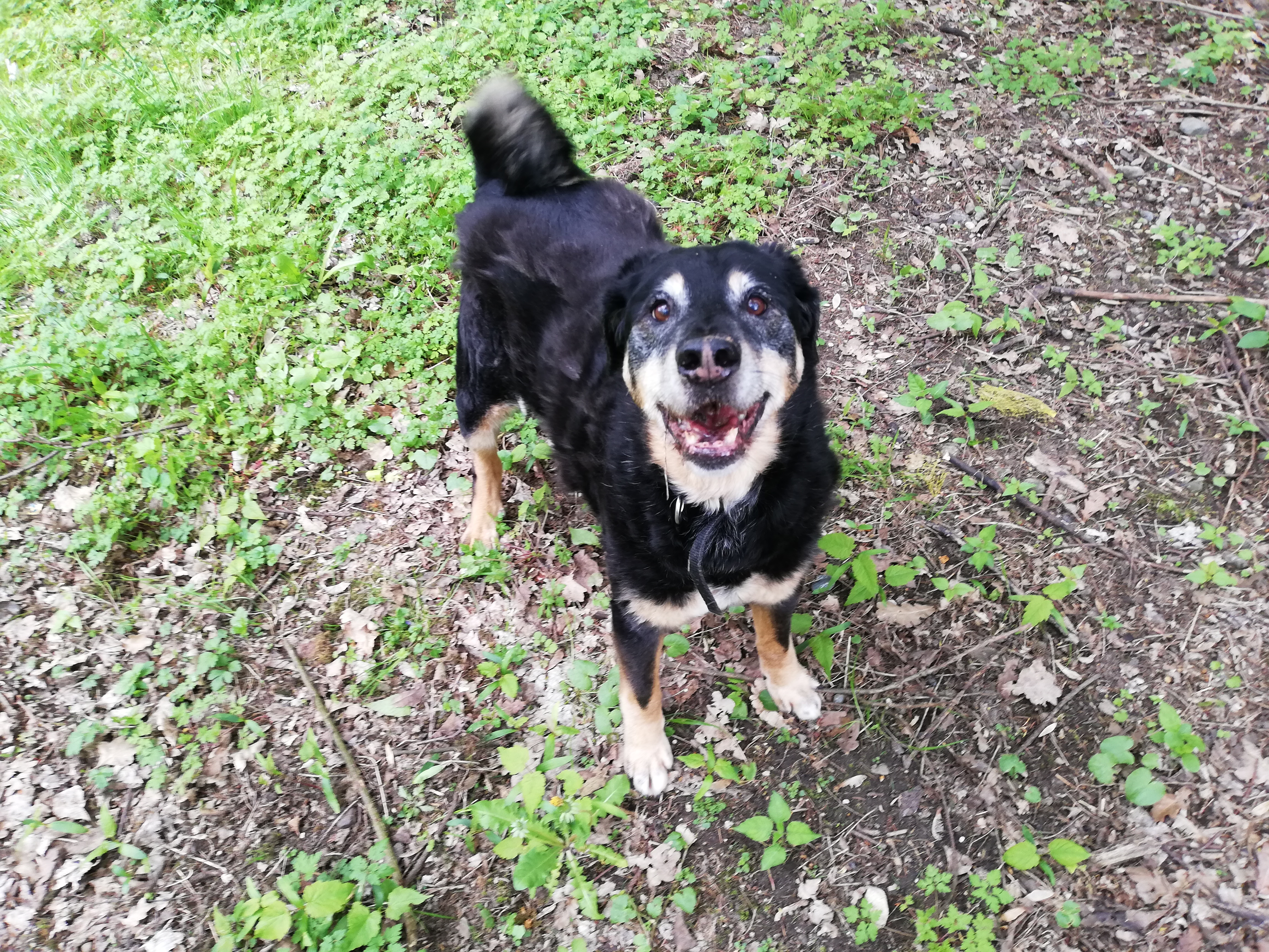 Max -  - Bild 3