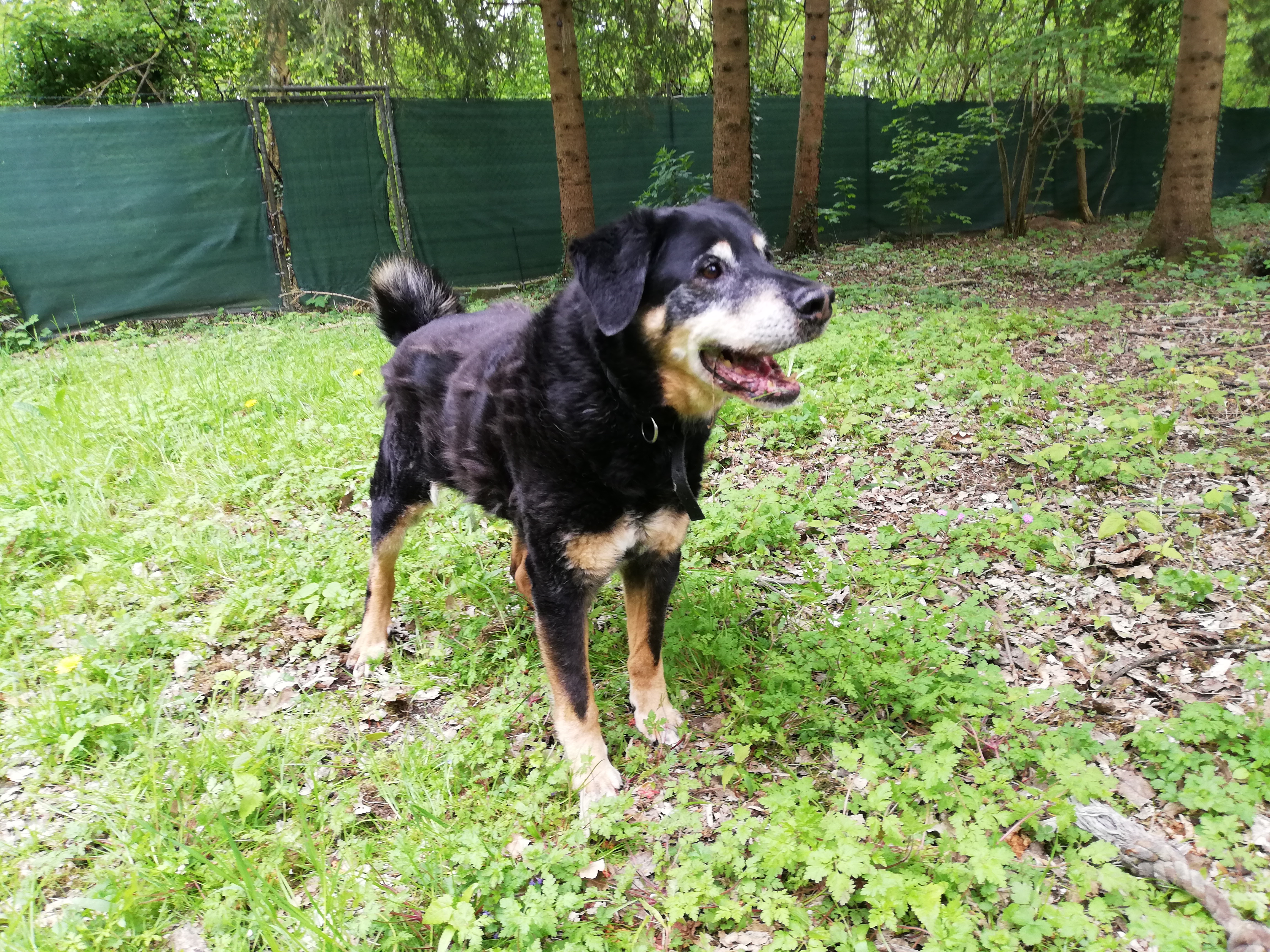 Max -  - Bild 4