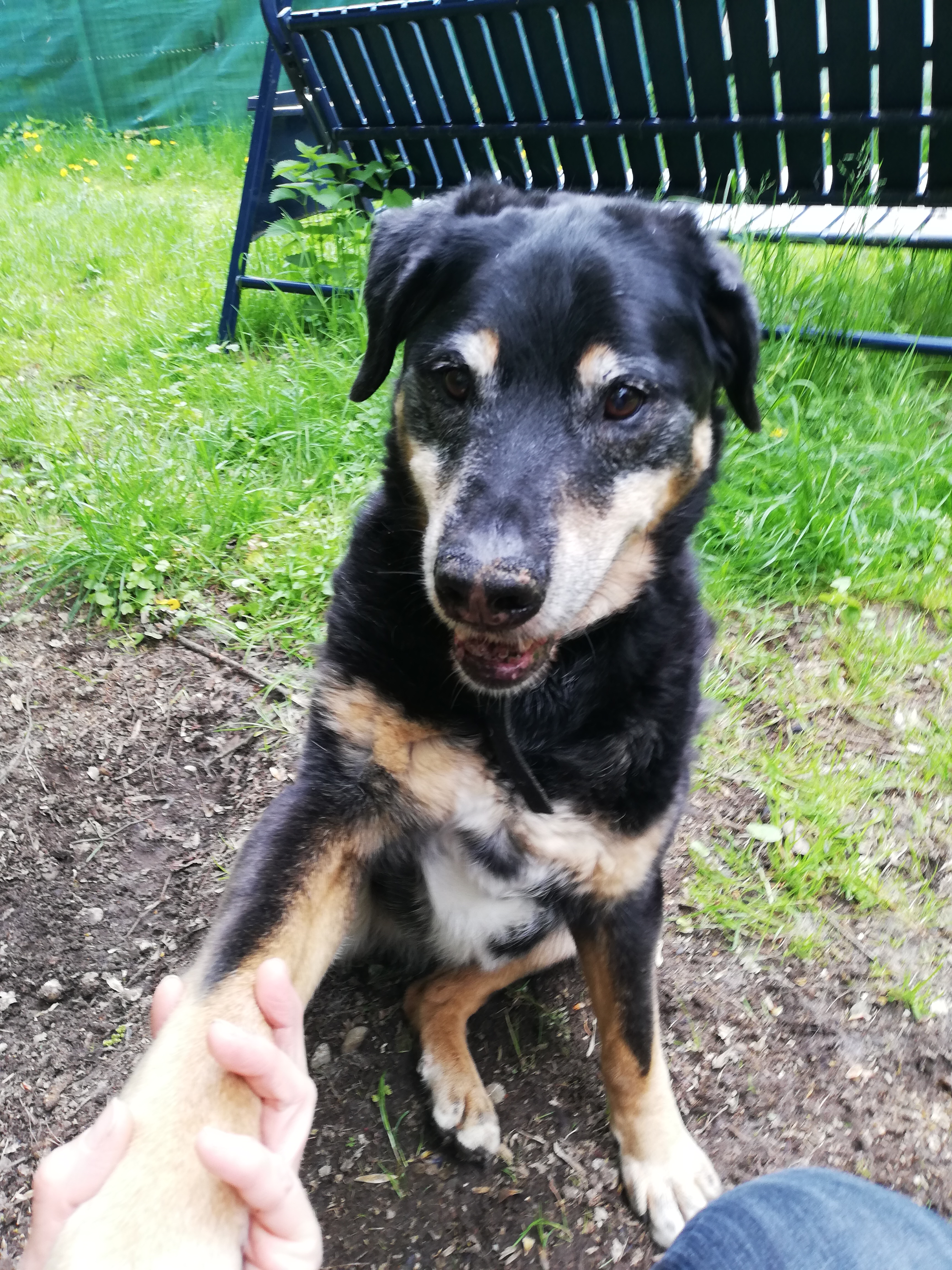 Max -  - Bild 5