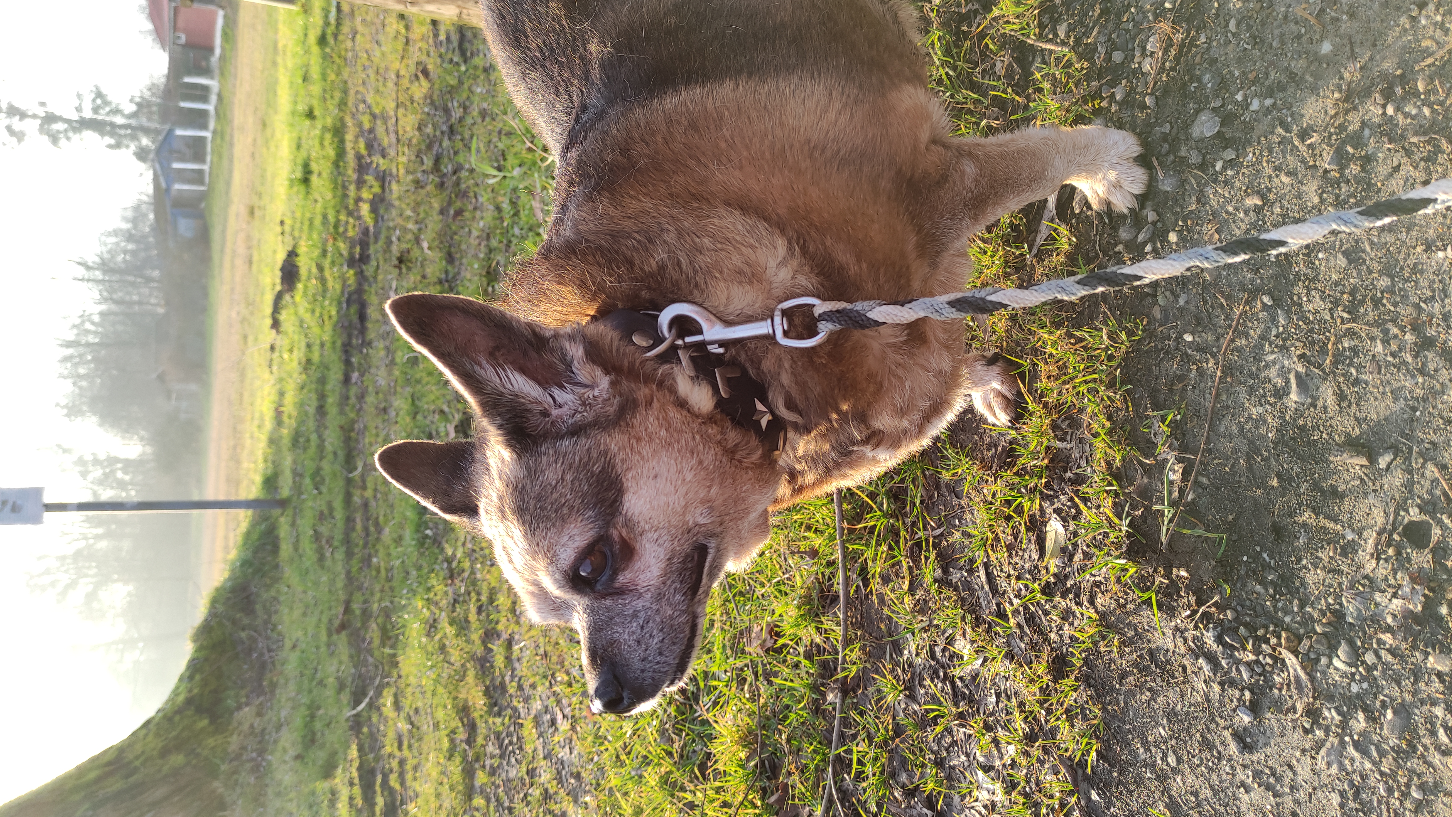 Mausi -  - Bild 7