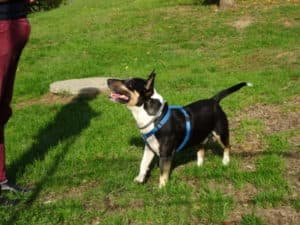 Nate -  - Bild 2