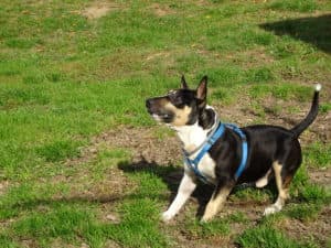 Nate -  - Bild 3