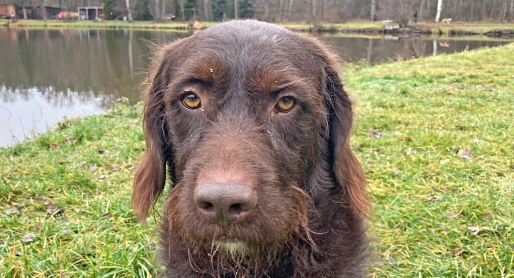 Fynn -  - Bild 7