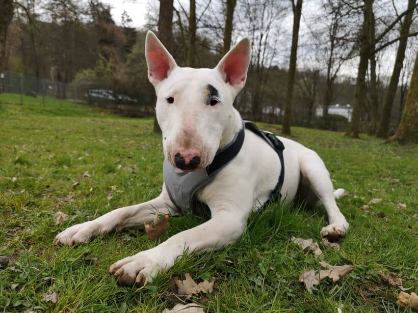 Rocky -  - Bild 2