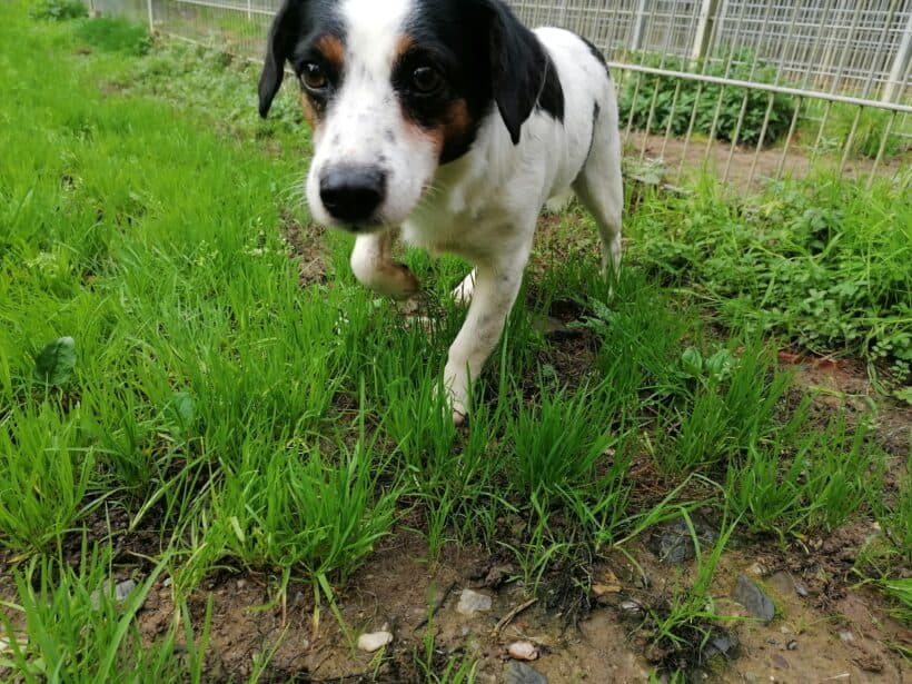 Casper -  - Bild 2